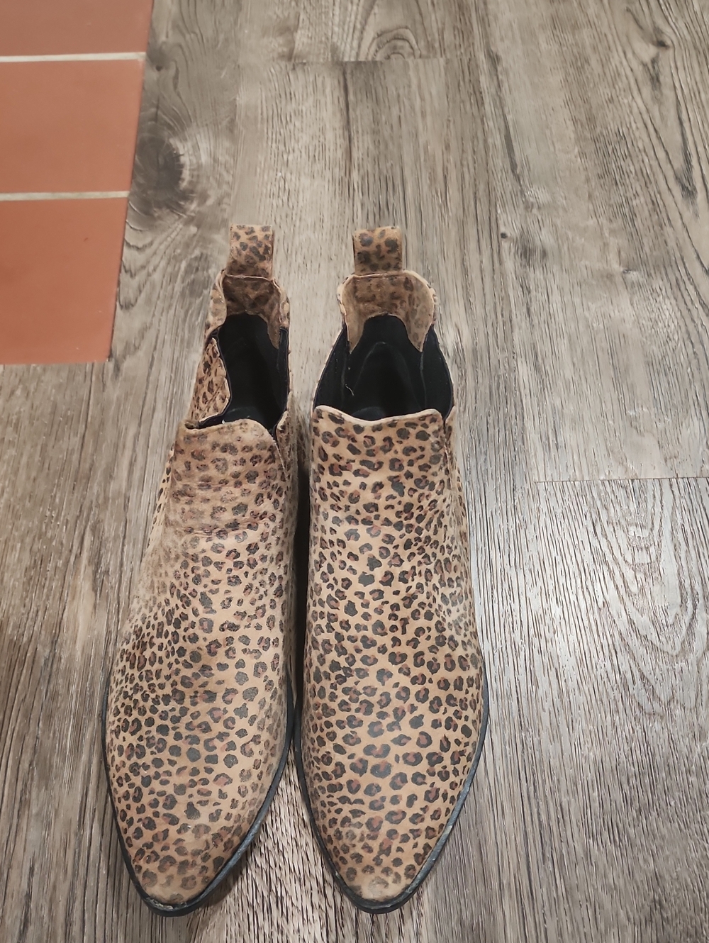 Roolee Leopard-Print Ankle Booties - Tan & Black